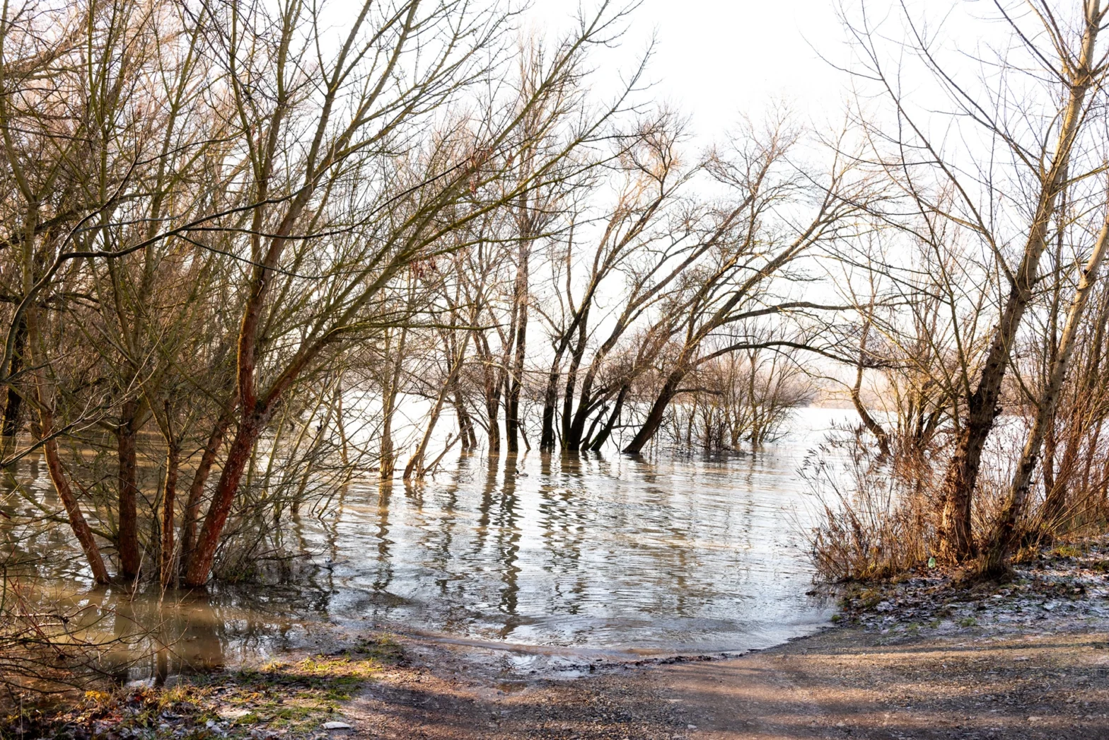 WNC Floods